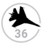 Pakistan fly